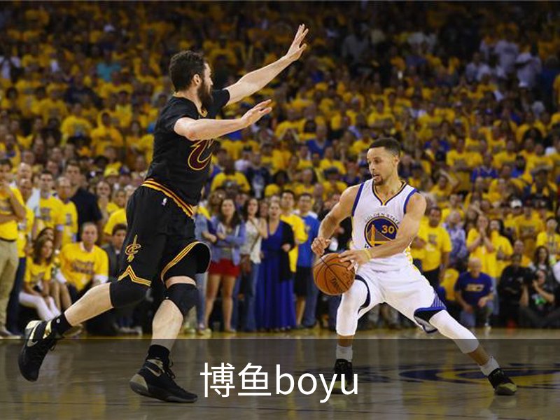 关于博鱼boyu